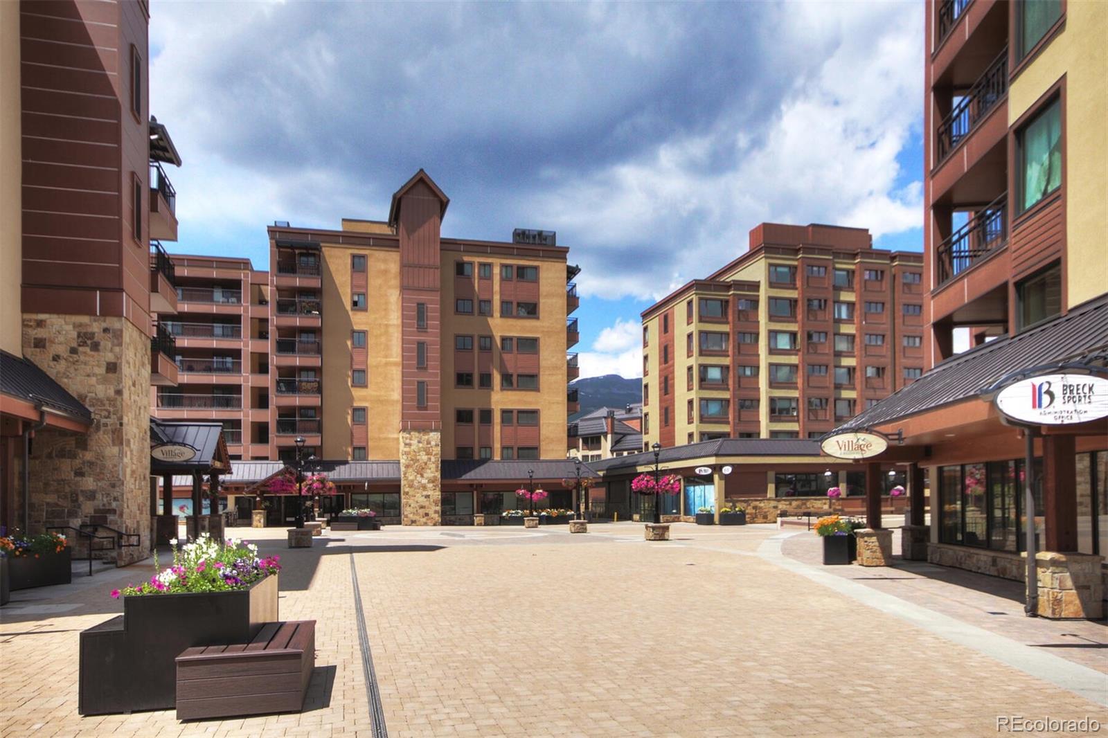 MLS Image #2 for 645 s park avenue 302,breckenridge, Colorado