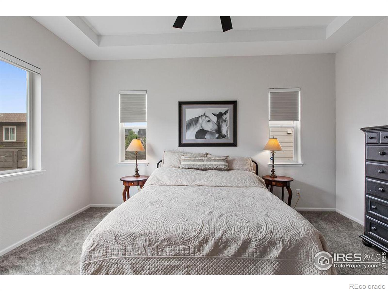 MLS Image #13 for 2844  hagerman street,loveland, Colorado