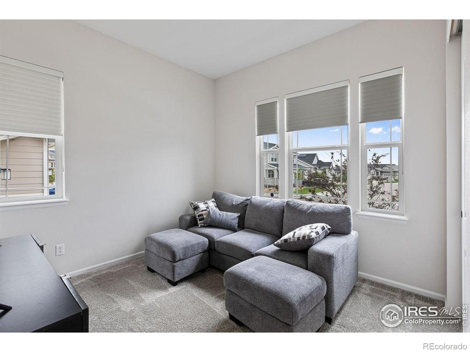 MLS Image #17 for 2844  hagerman street,loveland, Colorado