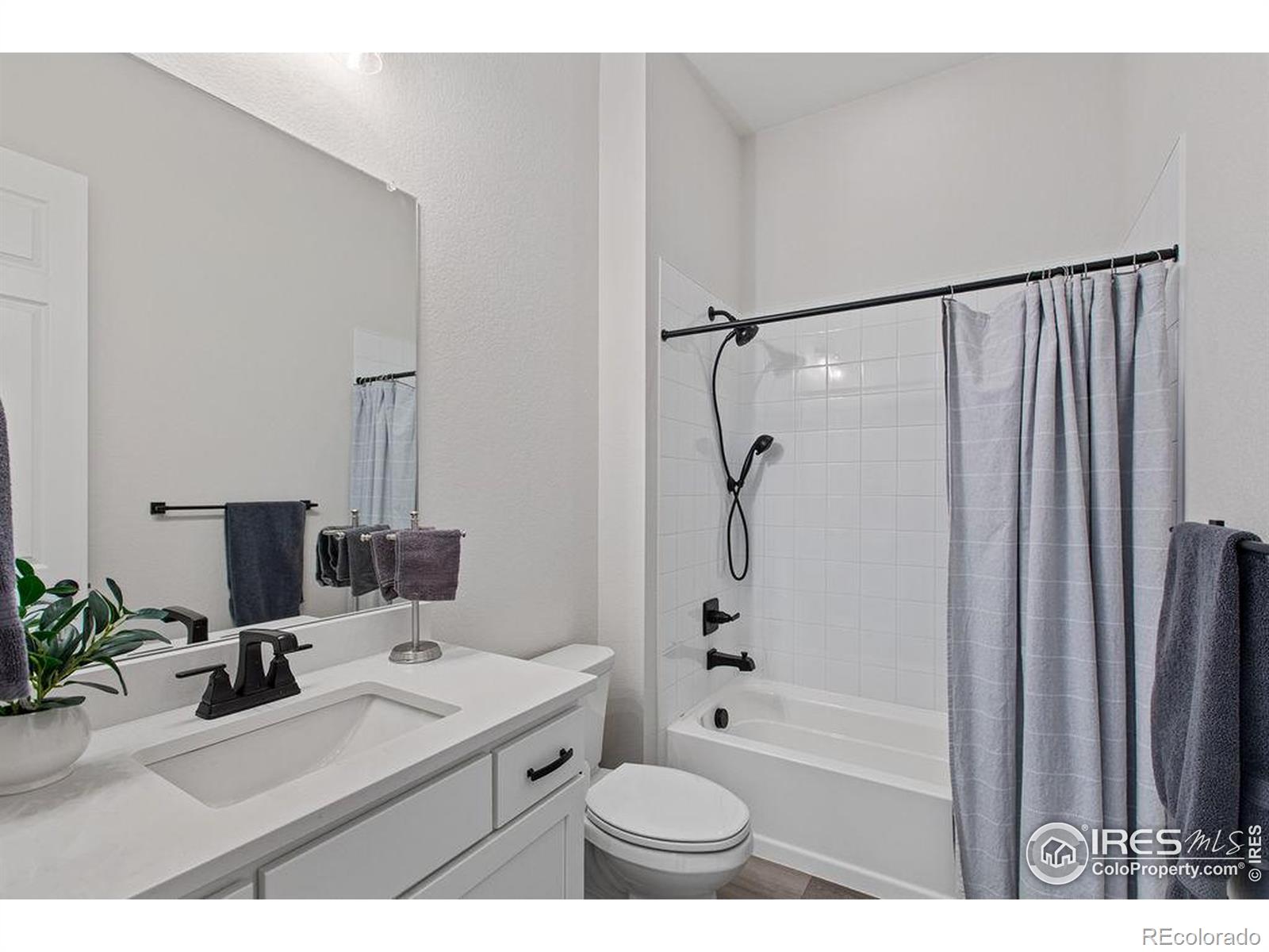 MLS Image #19 for 2844  hagerman street,loveland, Colorado