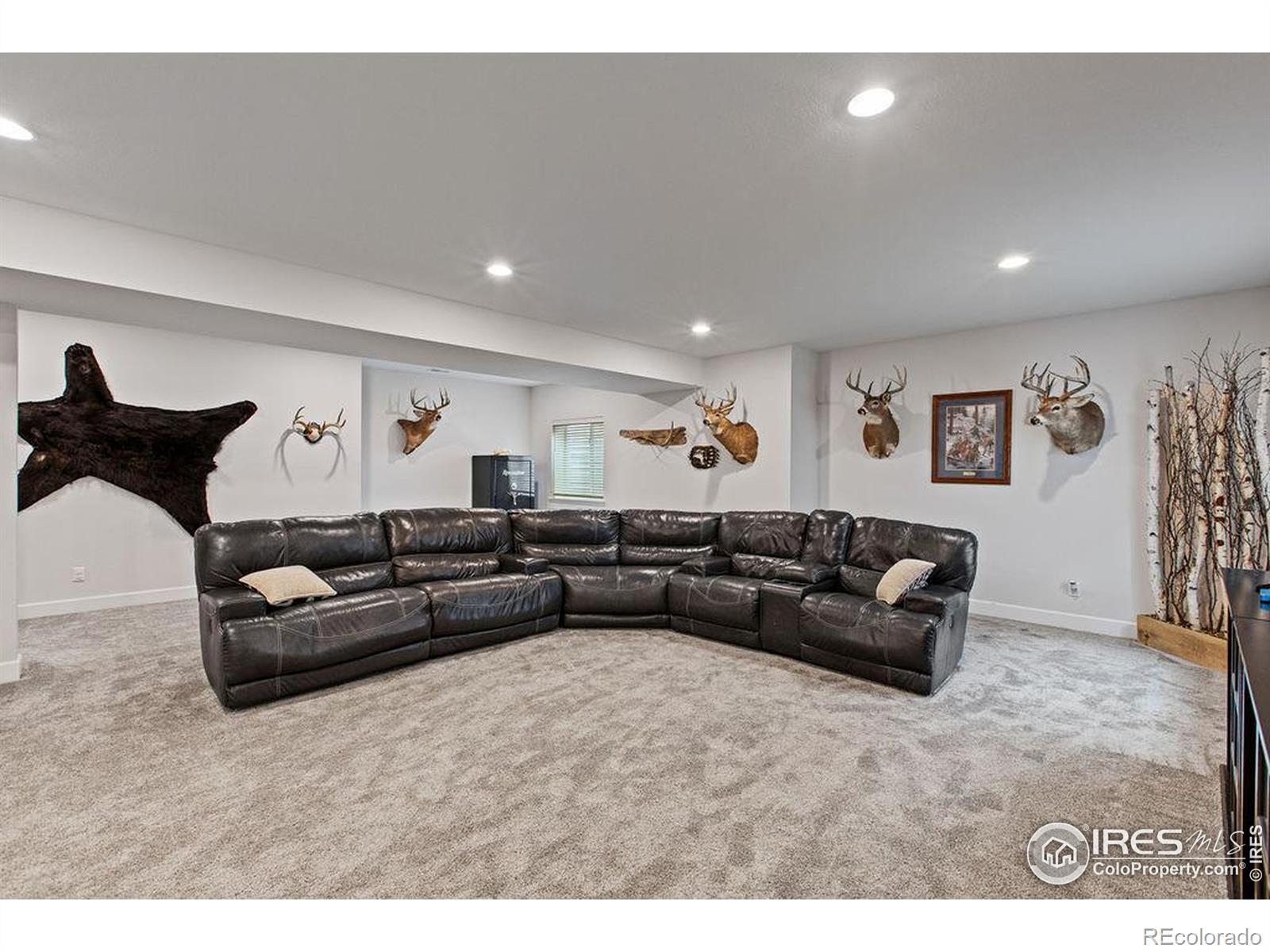 MLS Image #20 for 2844  hagerman street,loveland, Colorado