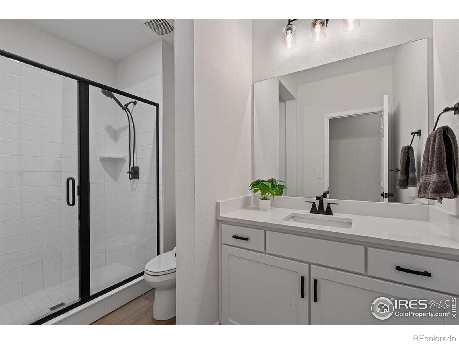 MLS Image #22 for 2844  hagerman street,loveland, Colorado