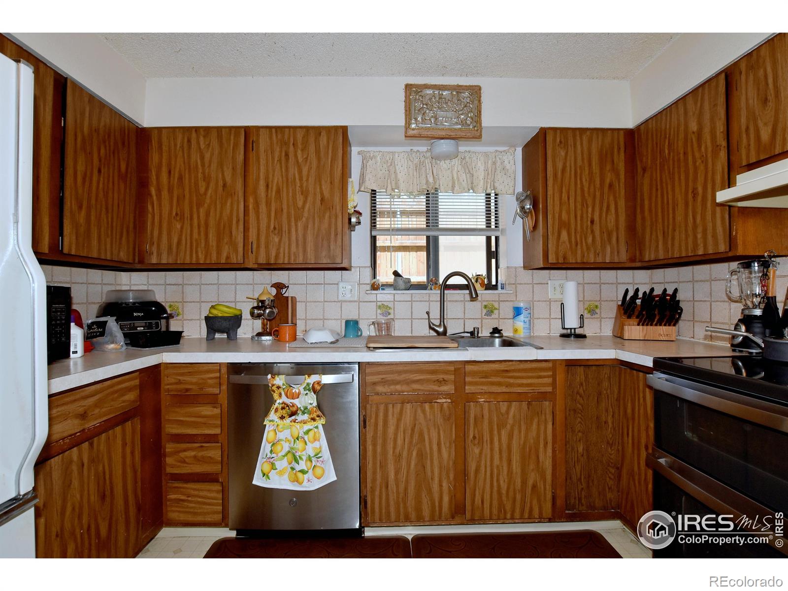 MLS Image #13 for 1678  riverside avenue,fort collins, Colorado