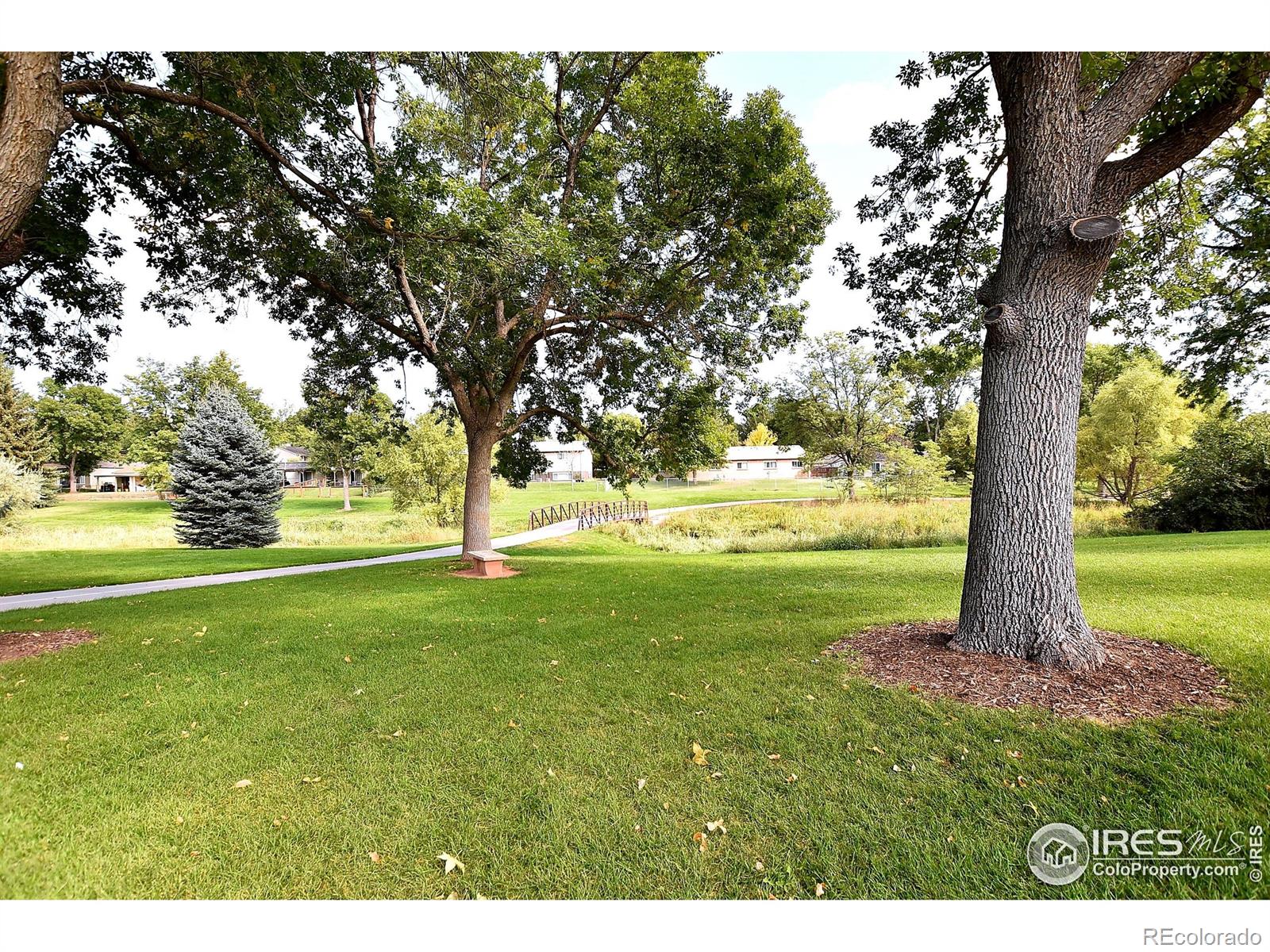 MLS Image #19 for 1678  riverside avenue,fort collins, Colorado