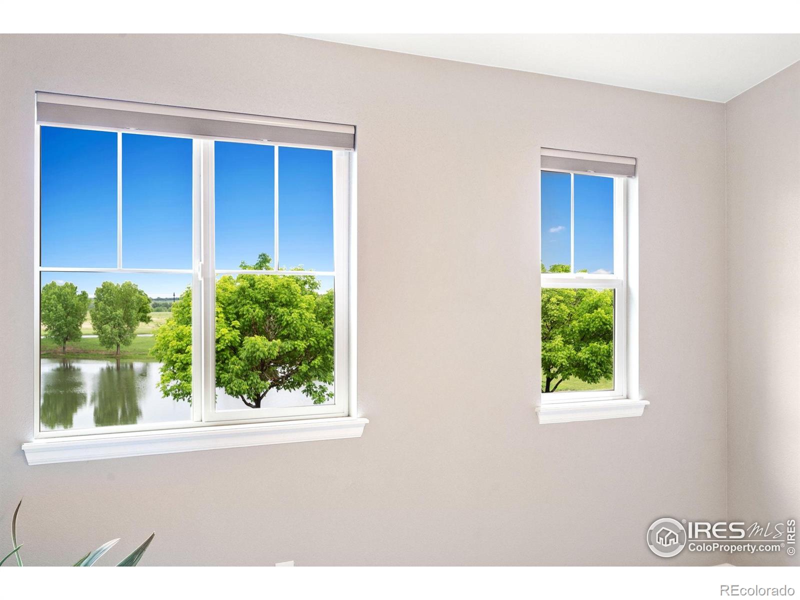 MLS Image #16 for 6492  richland avenue,timnath, Colorado