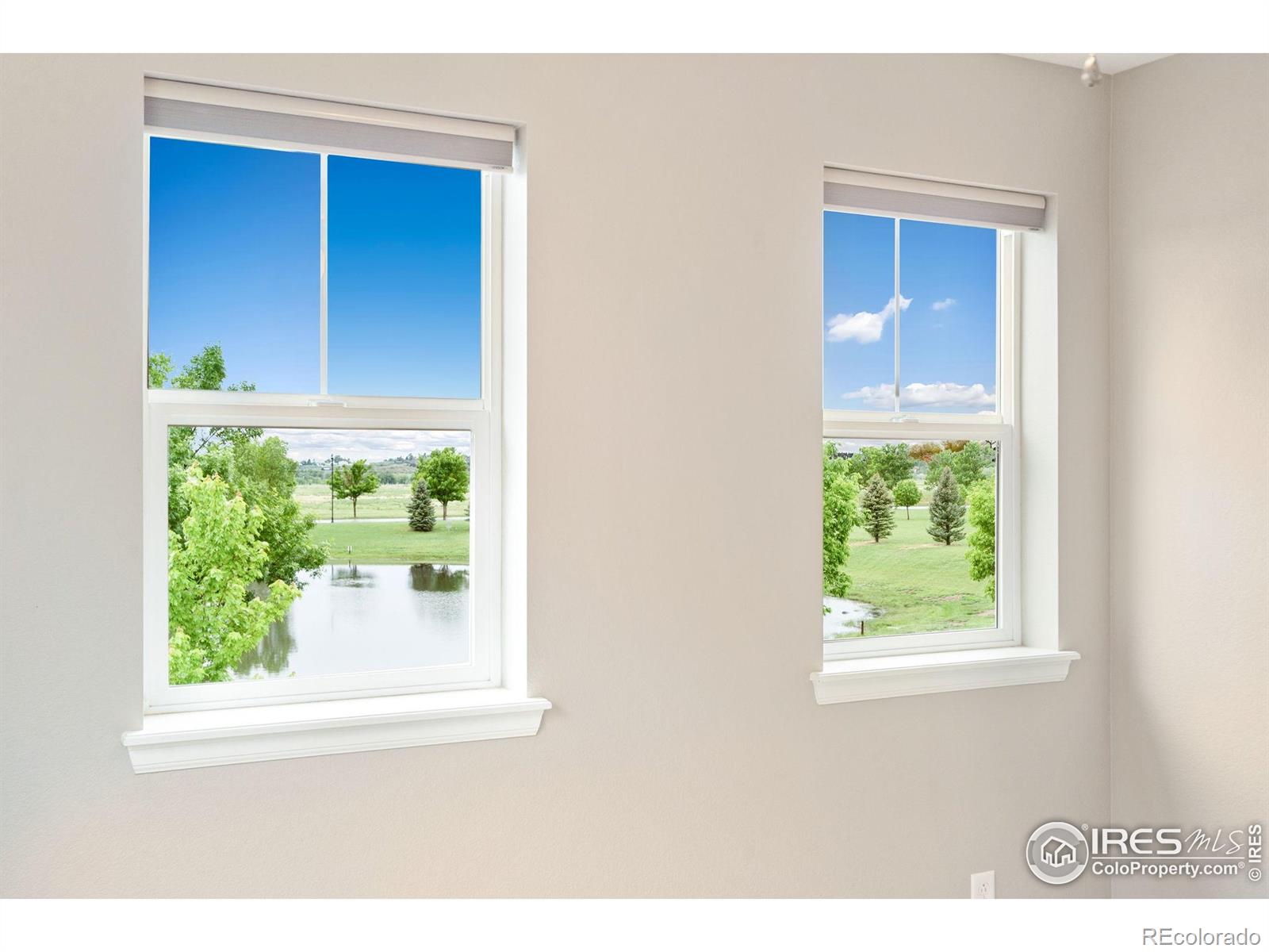 MLS Image #17 for 6492  richland avenue,timnath, Colorado