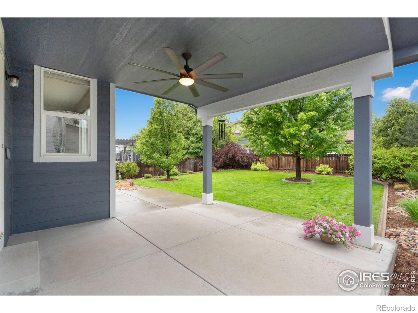 MLS Image #27 for 6492  richland avenue,timnath, Colorado