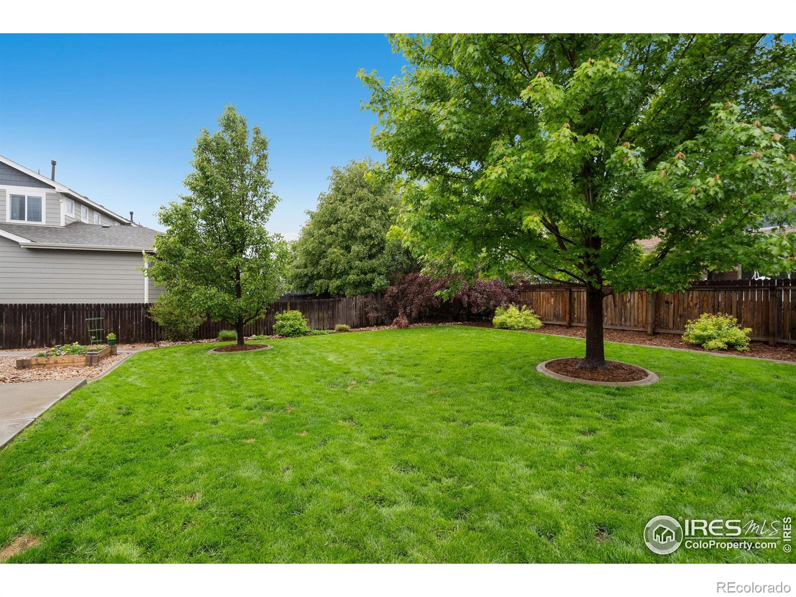 MLS Image #28 for 6492  richland avenue,timnath, Colorado