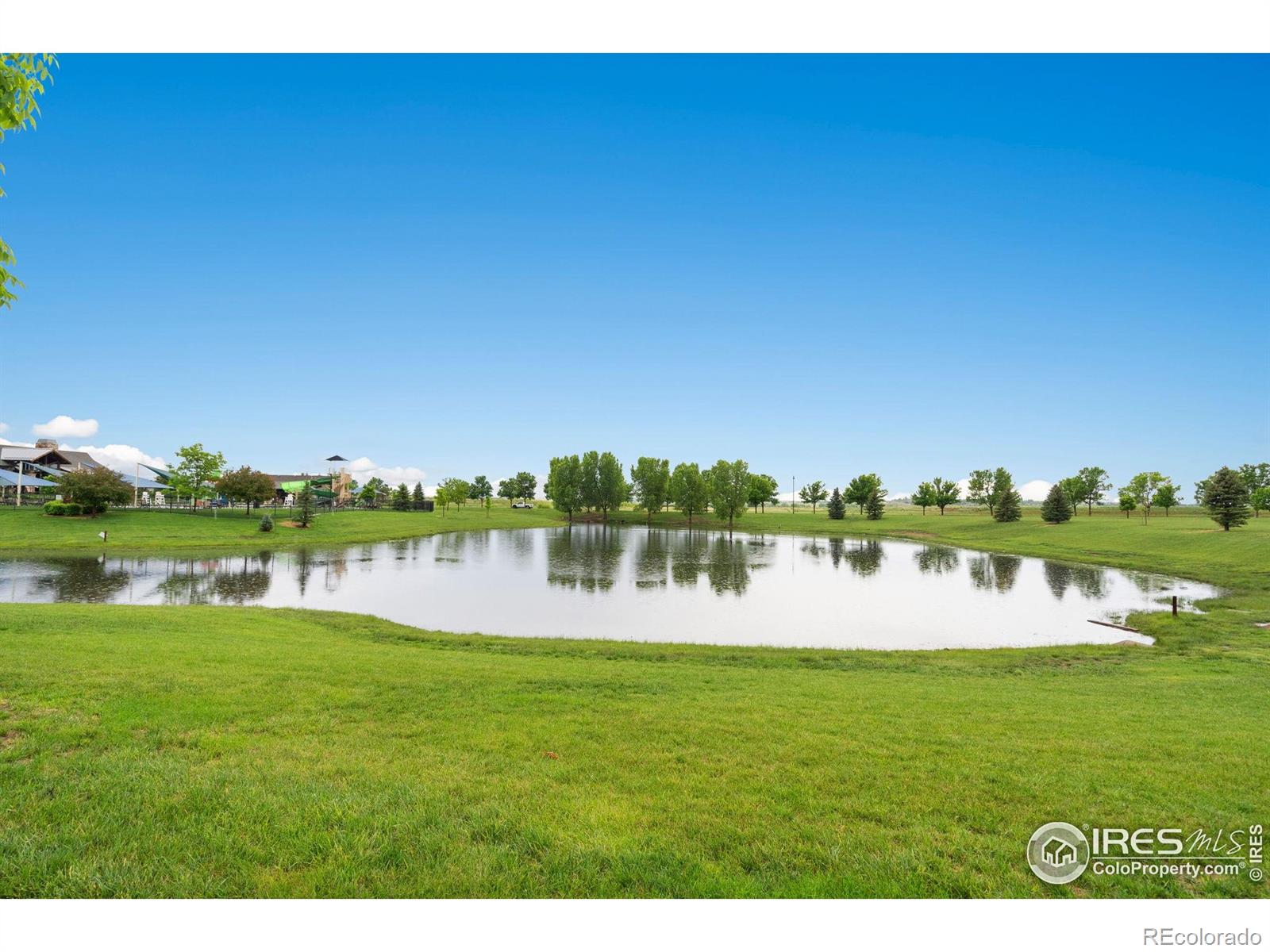 MLS Image #36 for 6492  richland avenue,timnath, Colorado