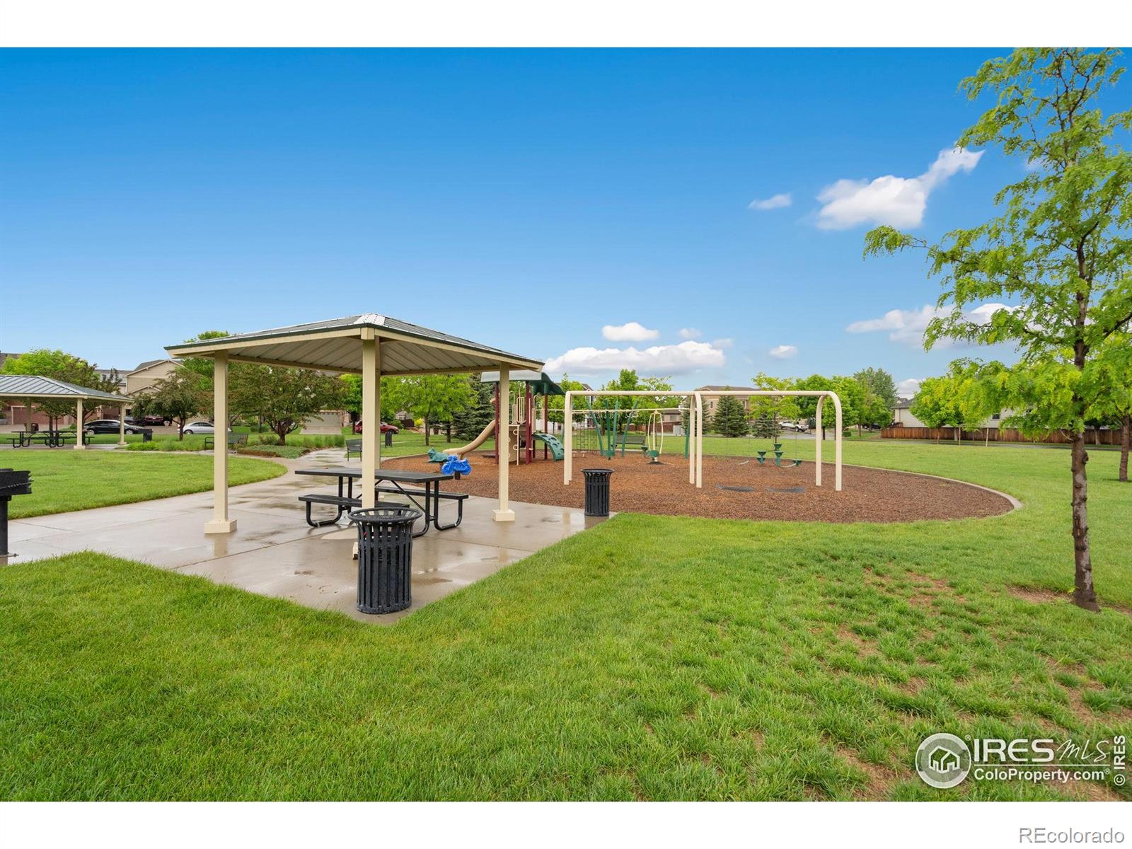 MLS Image #38 for 6492  richland avenue,timnath, Colorado