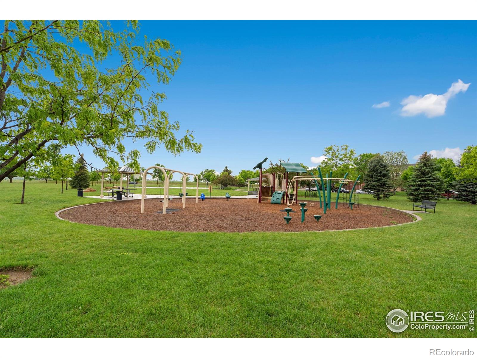 MLS Image #39 for 6492  richland avenue,timnath, Colorado
