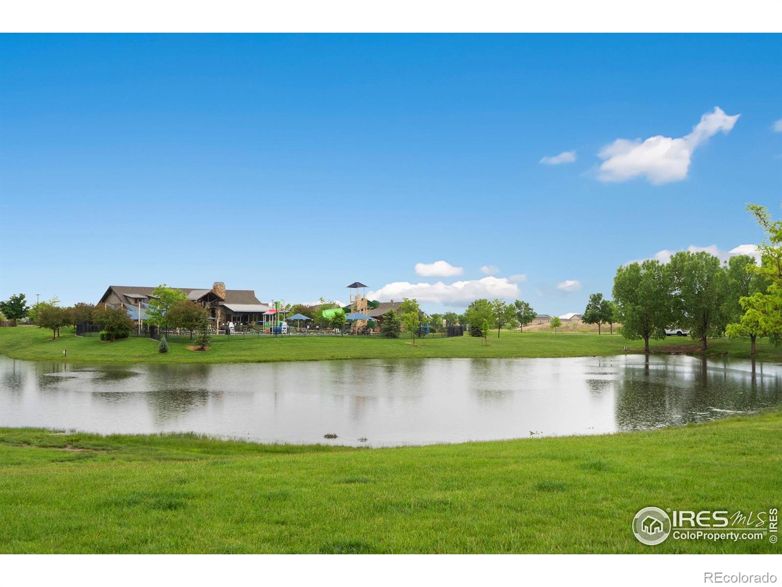MLS Image #5 for 6492  richland avenue,timnath, Colorado