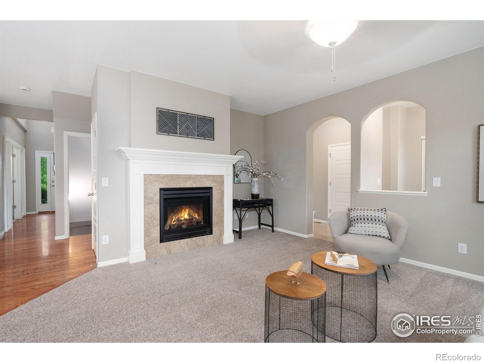 MLS Image #6 for 6492  richland avenue,timnath, Colorado