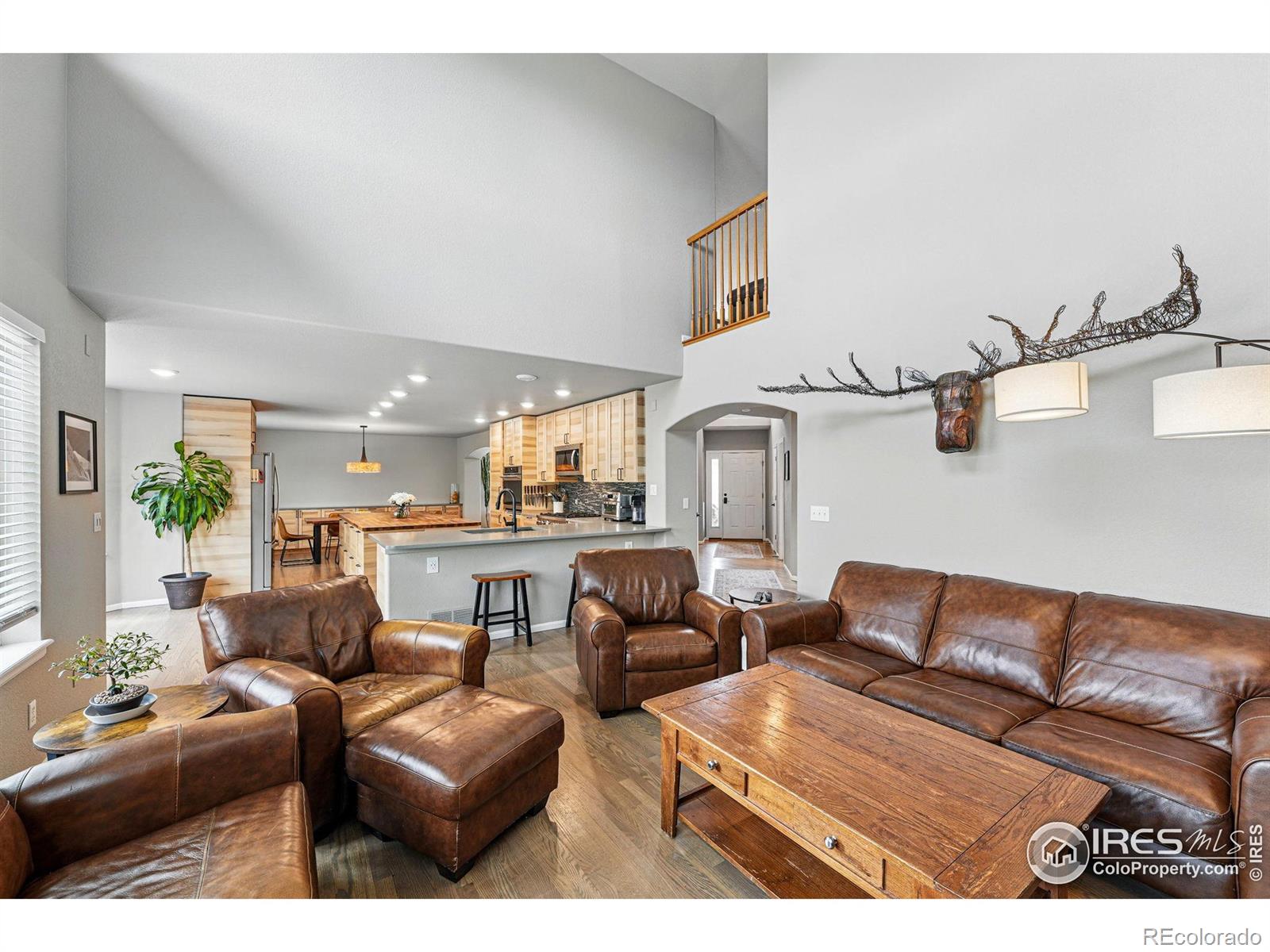 MLS Image #12 for 682  briar dale drive,castle pines, Colorado