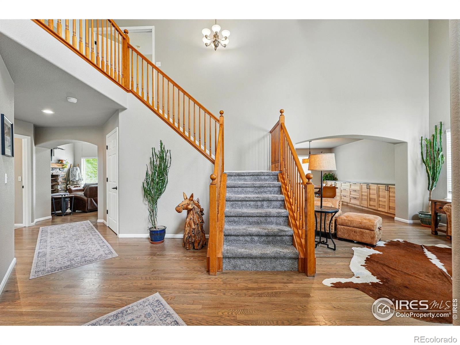 MLS Image #4 for 682  briar dale drive,castle pines, Colorado