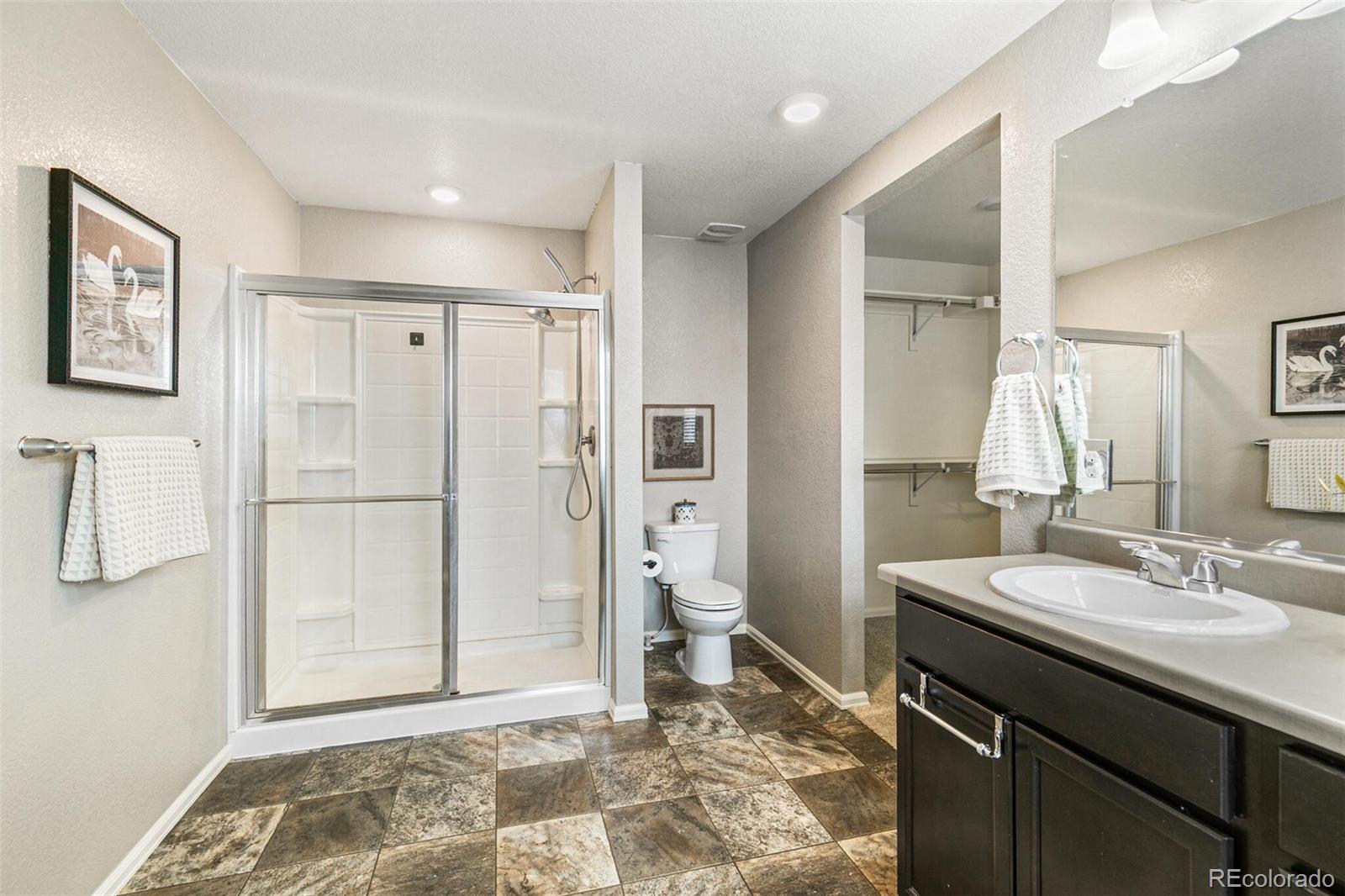 MLS Image #20 for 11761  cord grass way,parker, Colorado