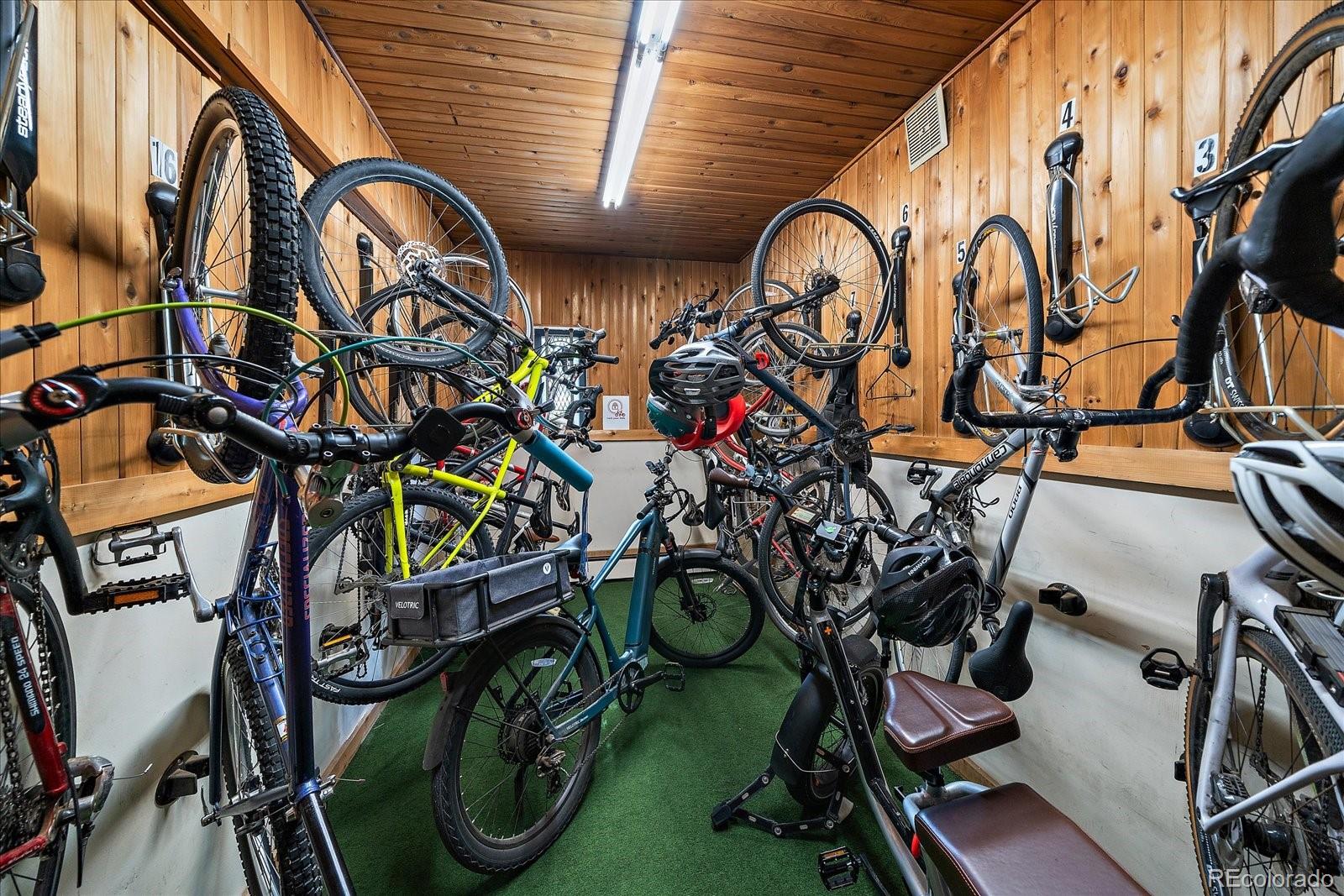 MLS Image #13 for 1050 n corona street,denver, Colorado