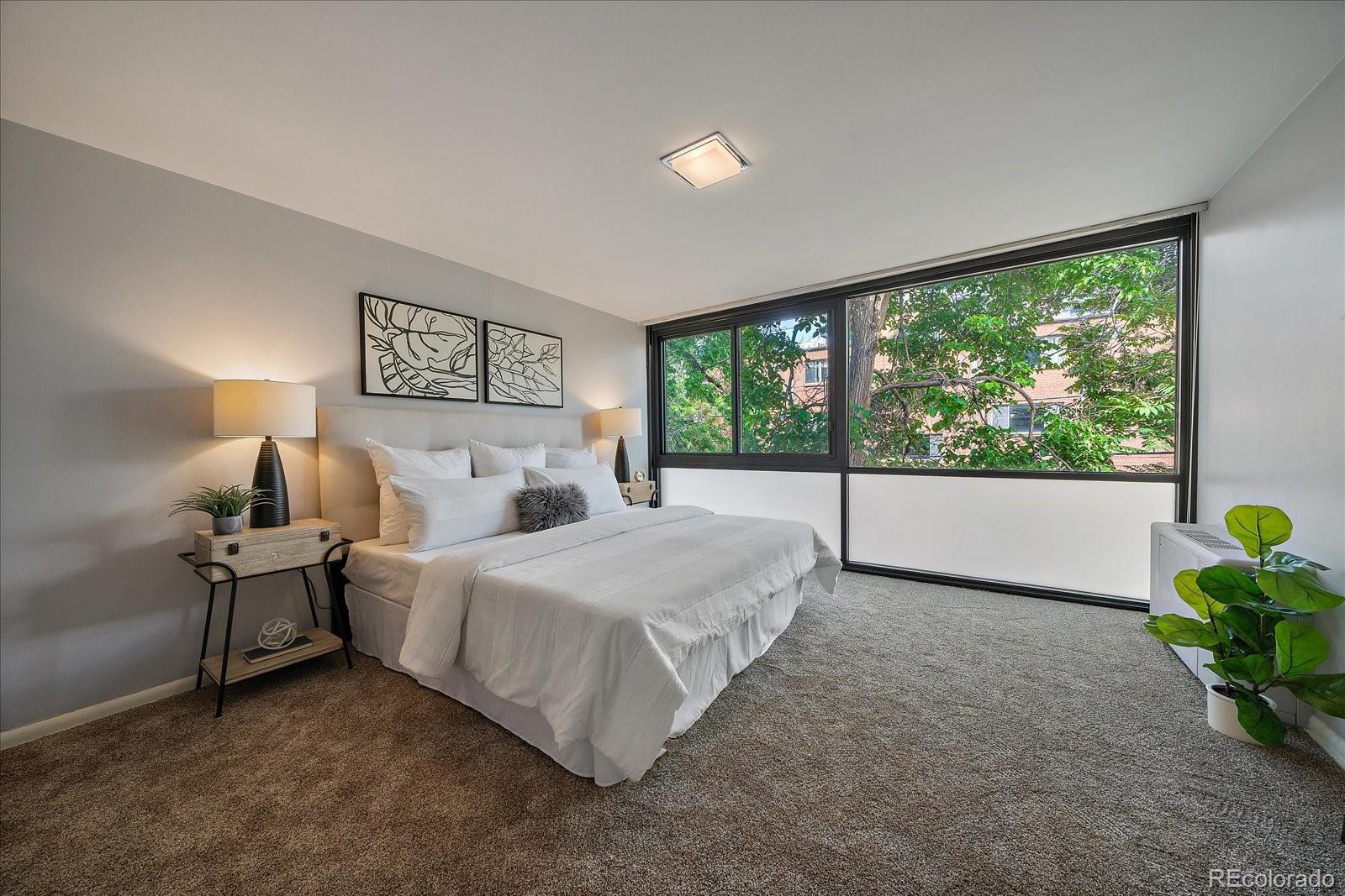 MLS Image #8 for 1050 n corona street,denver, Colorado