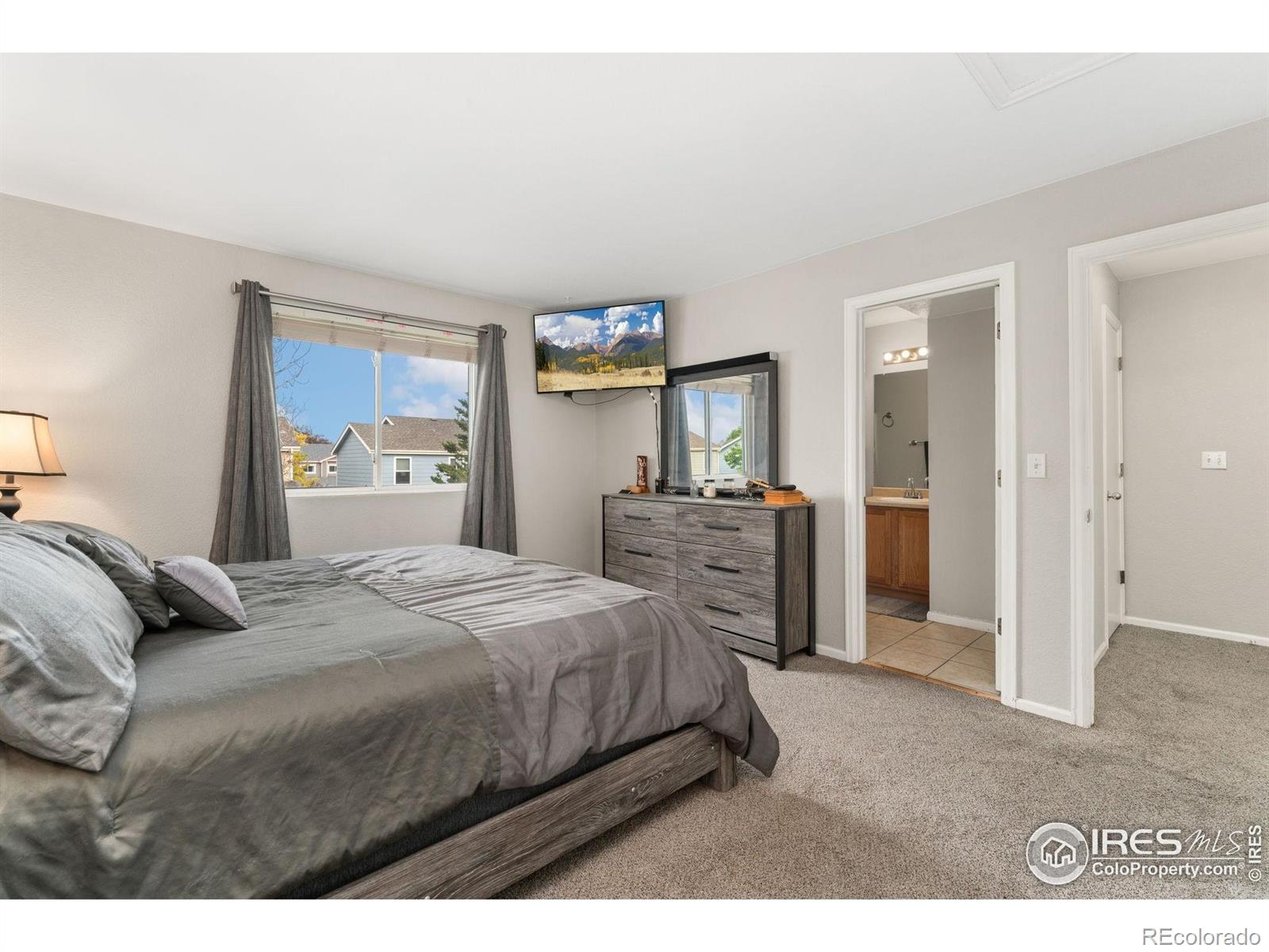 MLS Image #11 for 11096  claude court,northglenn, Colorado