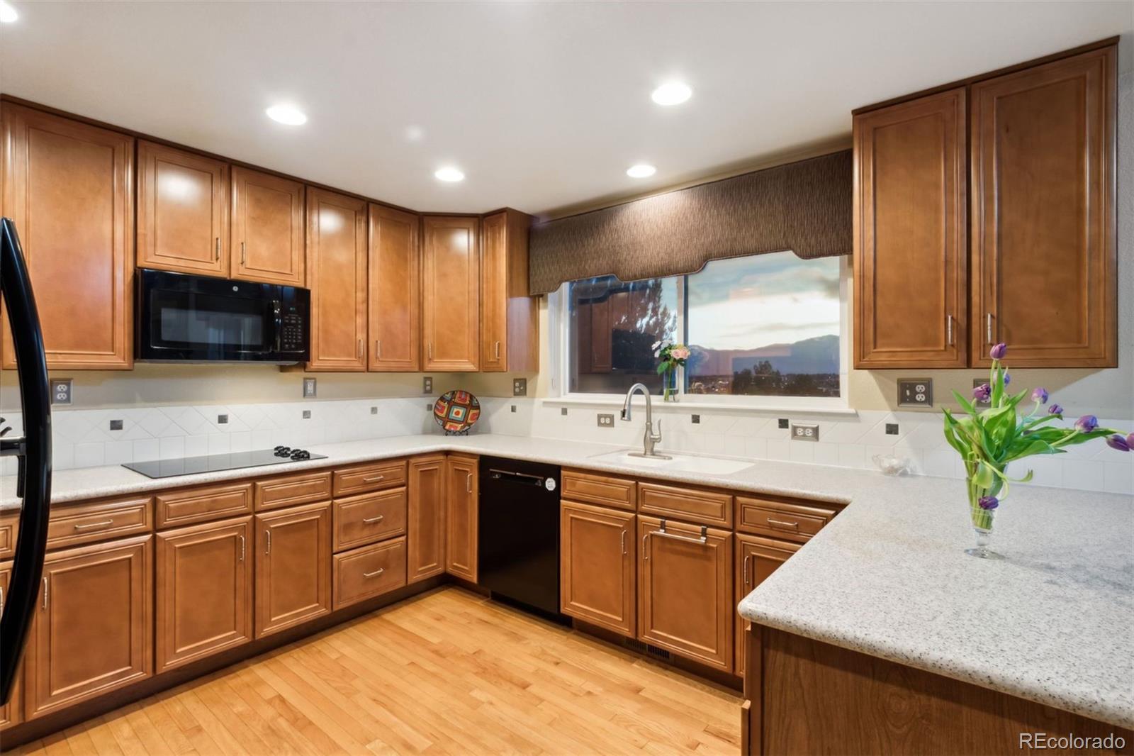 MLS Image #2 for 4561  desert varnish drive,colorado springs, Colorado