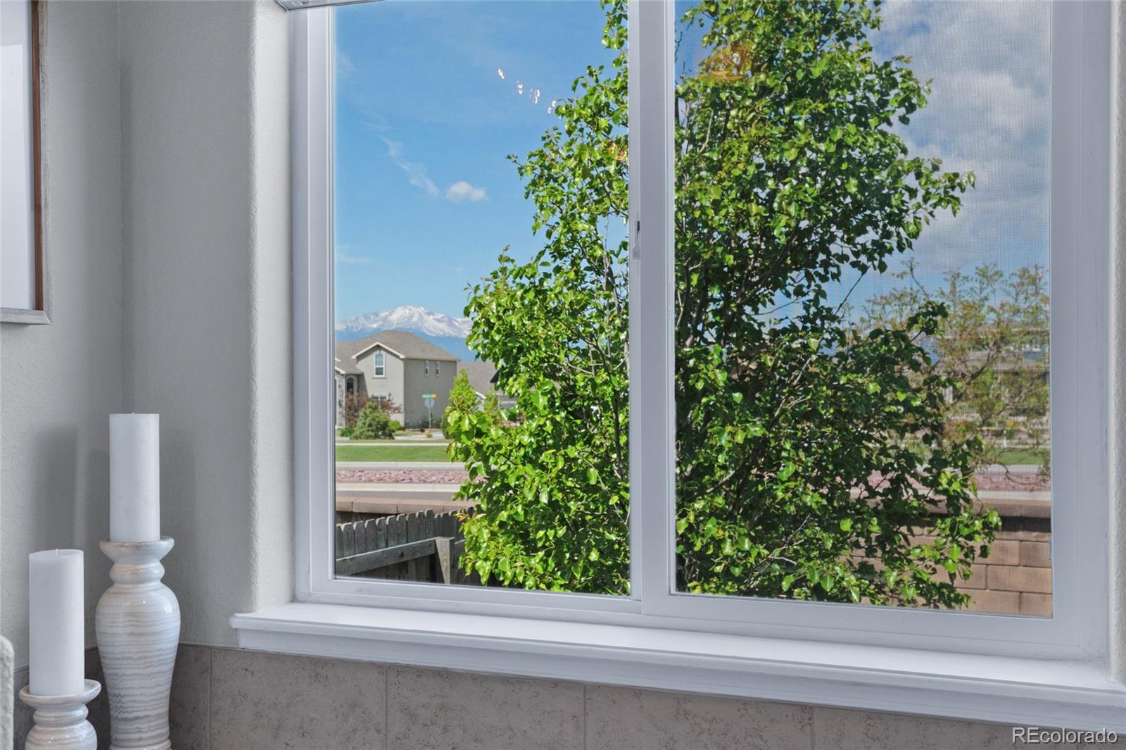 MLS Image #18 for 8795  canary circle,colorado springs, Colorado