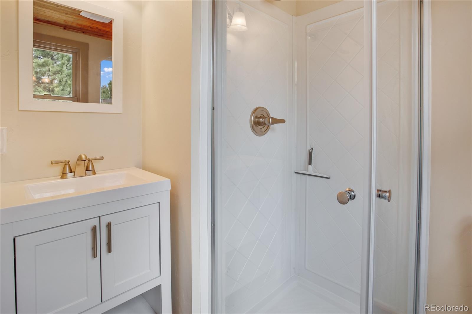 MLS Image #21 for 688  obsidian drive,florissant, Colorado