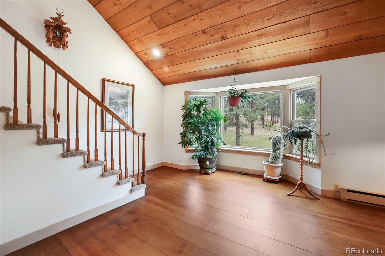 MLS Image #7 for 688  obsidian drive,florissant, Colorado
