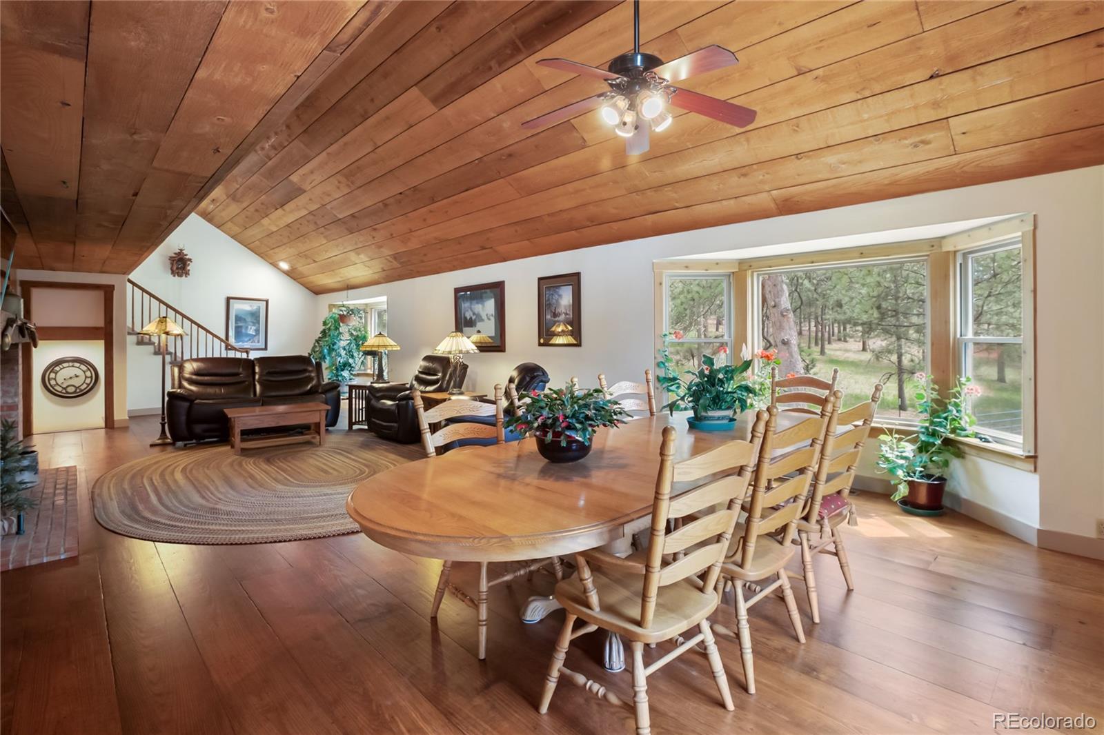 MLS Image #8 for 688  obsidian drive,florissant, Colorado
