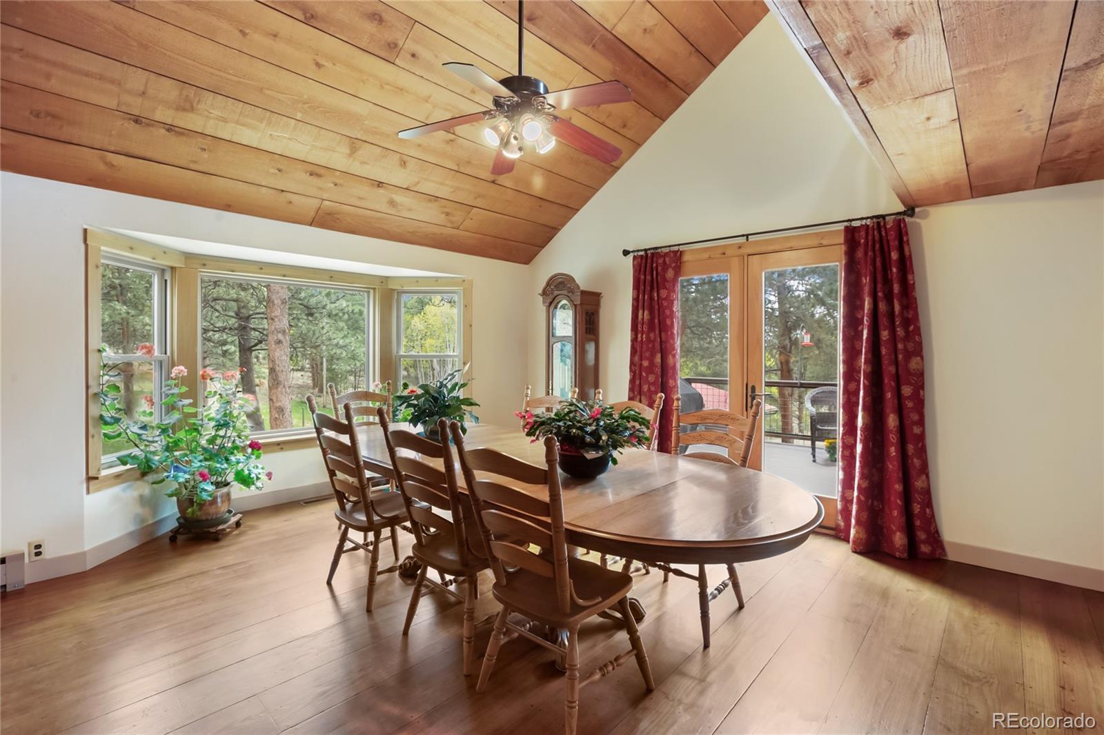 MLS Image #9 for 688  obsidian drive,florissant, Colorado