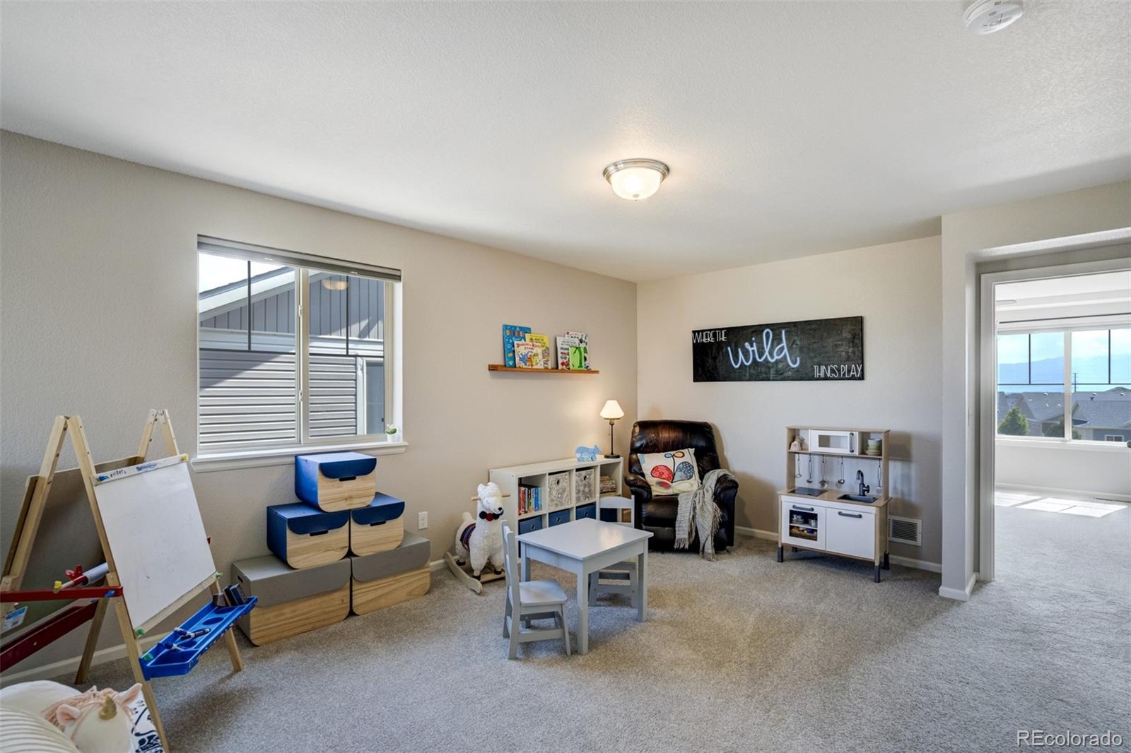 MLS Image #18 for 6880  backcountry loop,colorado springs, Colorado