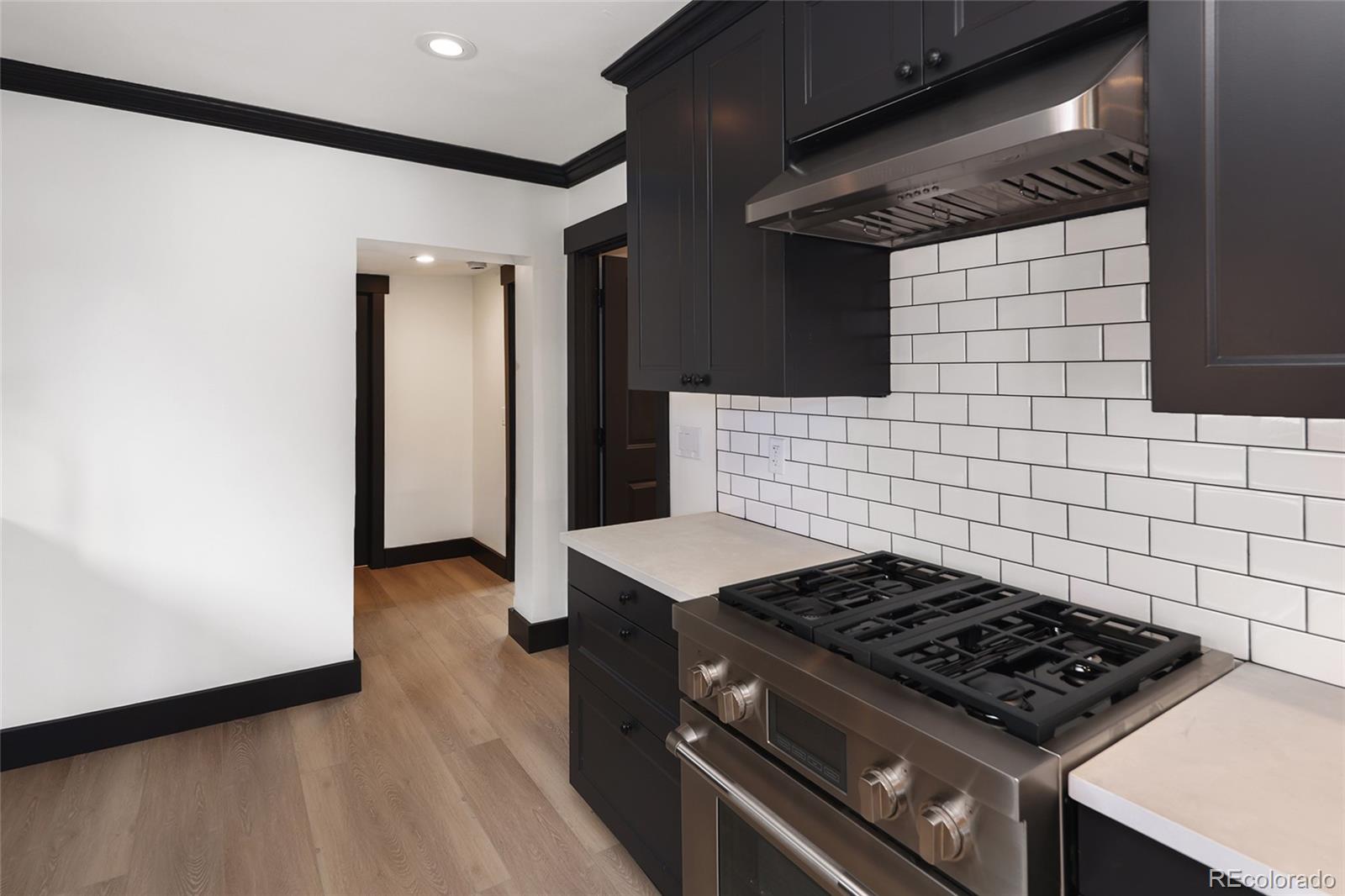 MLS Image #13 for 3731 n race street,denver, Colorado