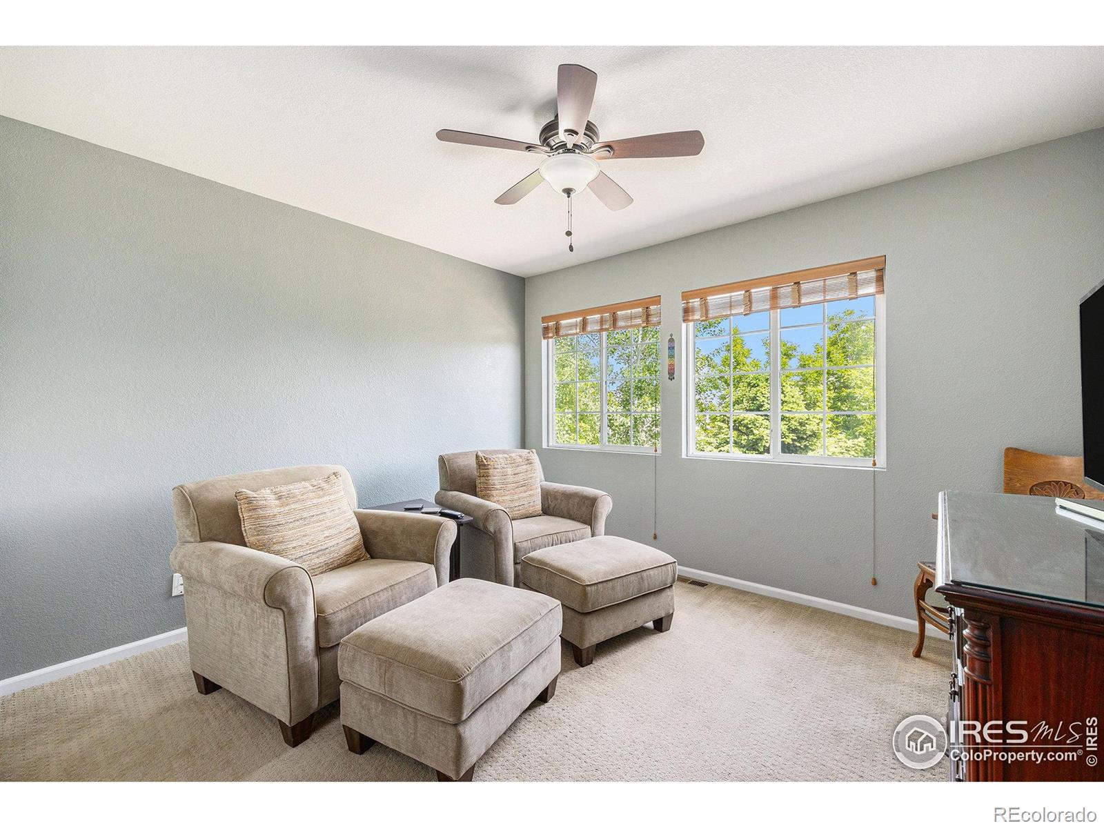 MLS Image #14 for 18656  kelly place,denver, Colorado