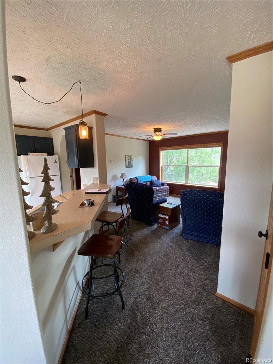 MLS Image #14 for 10206  rodeo park drive,poncha springs, Colorado