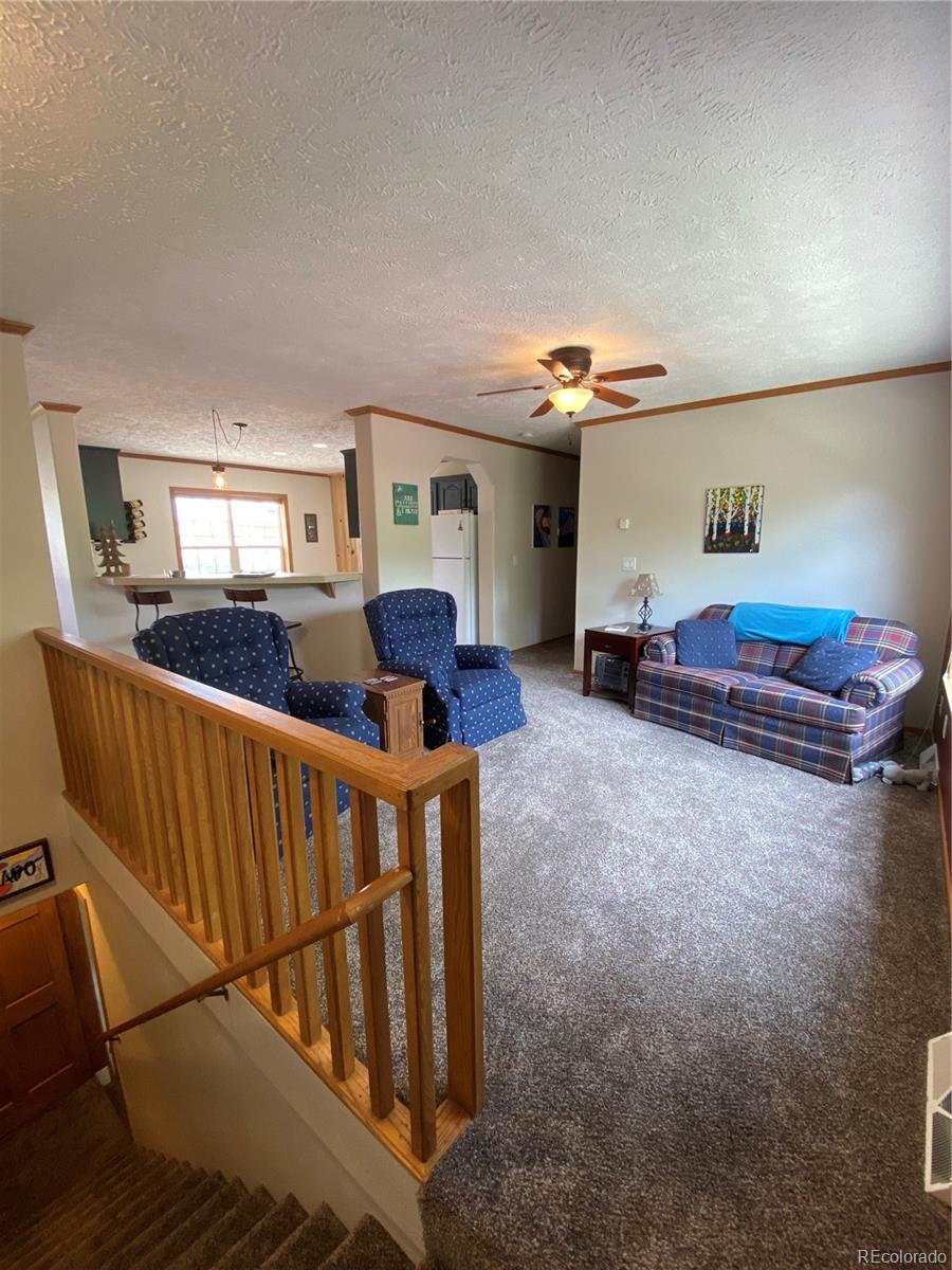 MLS Image #17 for 10206  rodeo park drive,poncha springs, Colorado