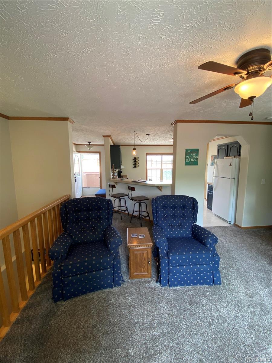 MLS Image #18 for 10206  rodeo park drive,poncha springs, Colorado