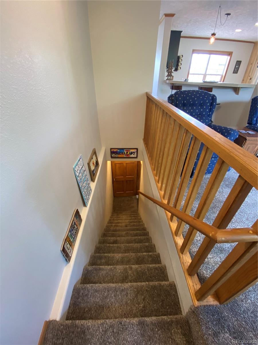 MLS Image #29 for 10206  rodeo park drive,poncha springs, Colorado