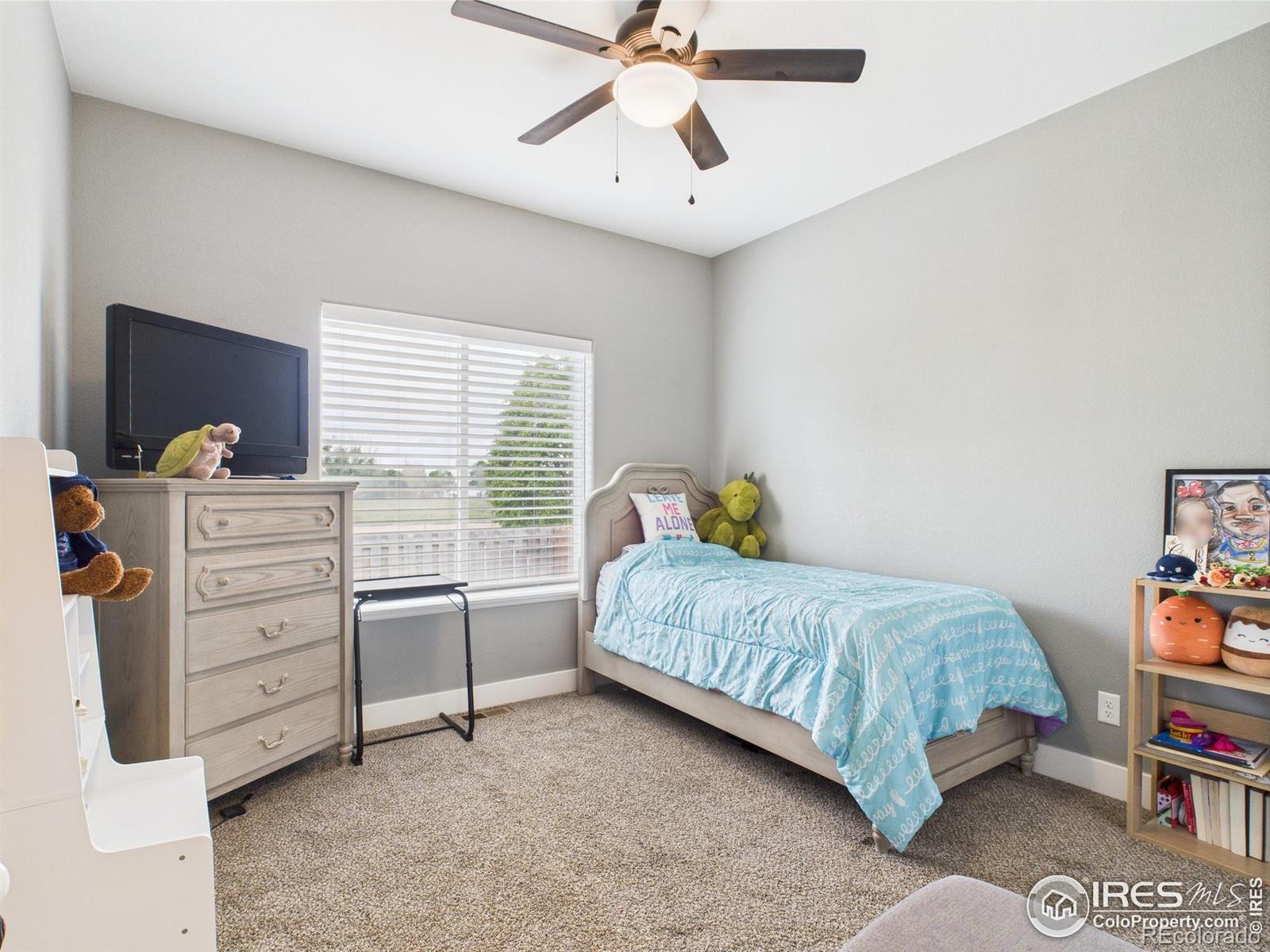 MLS Image #12 for 4169  white deer lane,wellington, Colorado
