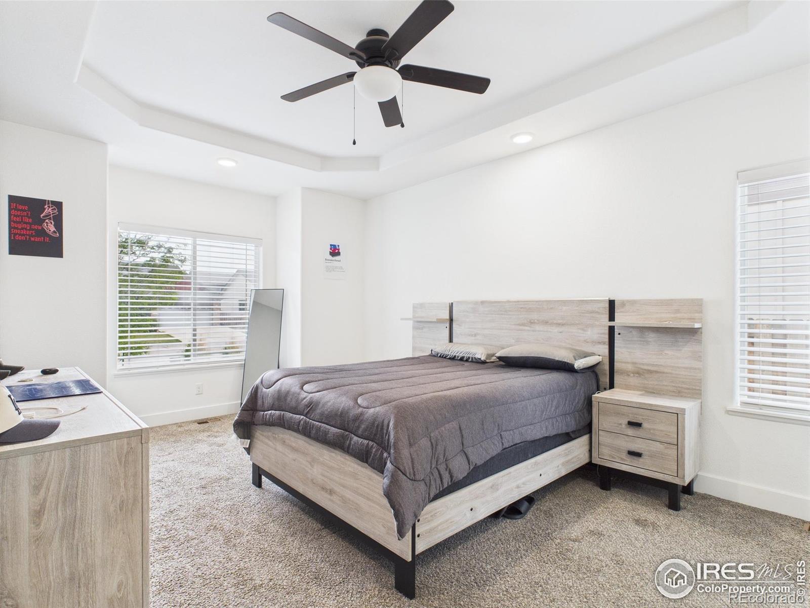 MLS Image #9 for 4169  white deer lane,wellington, Colorado