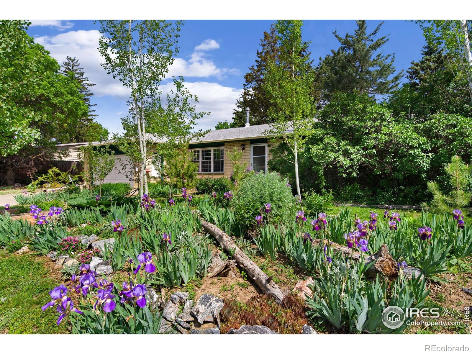 MLS Image #2 for 1307  redwood drive,loveland, Colorado