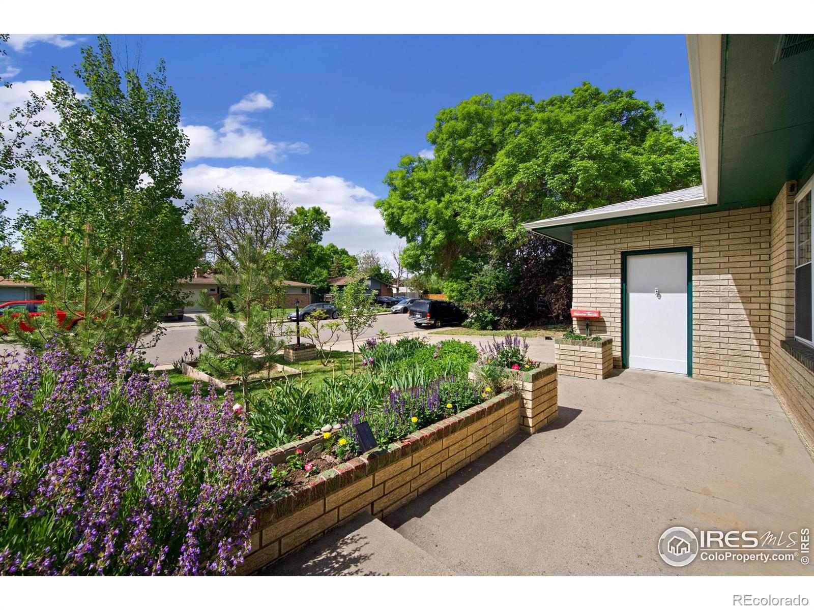 MLS Image #5 for 1307  redwood drive,loveland, Colorado