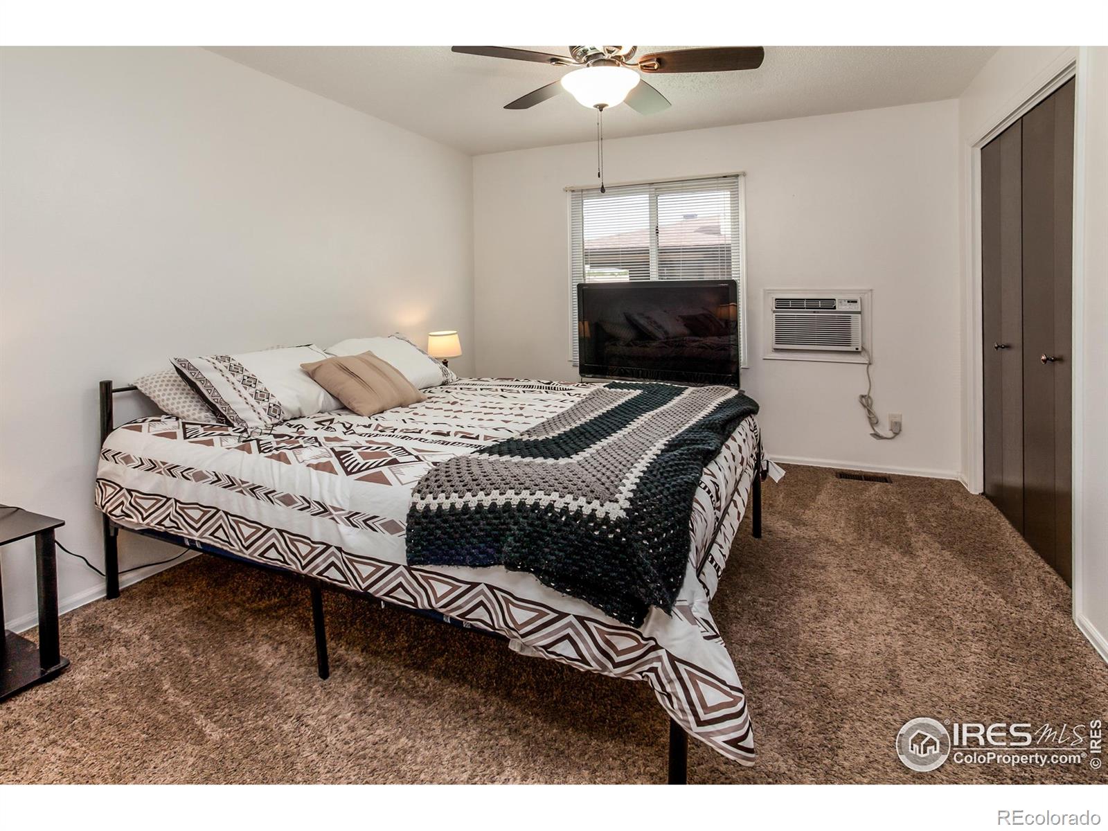 MLS Image #21 for 909  conifer court,windsor, Colorado