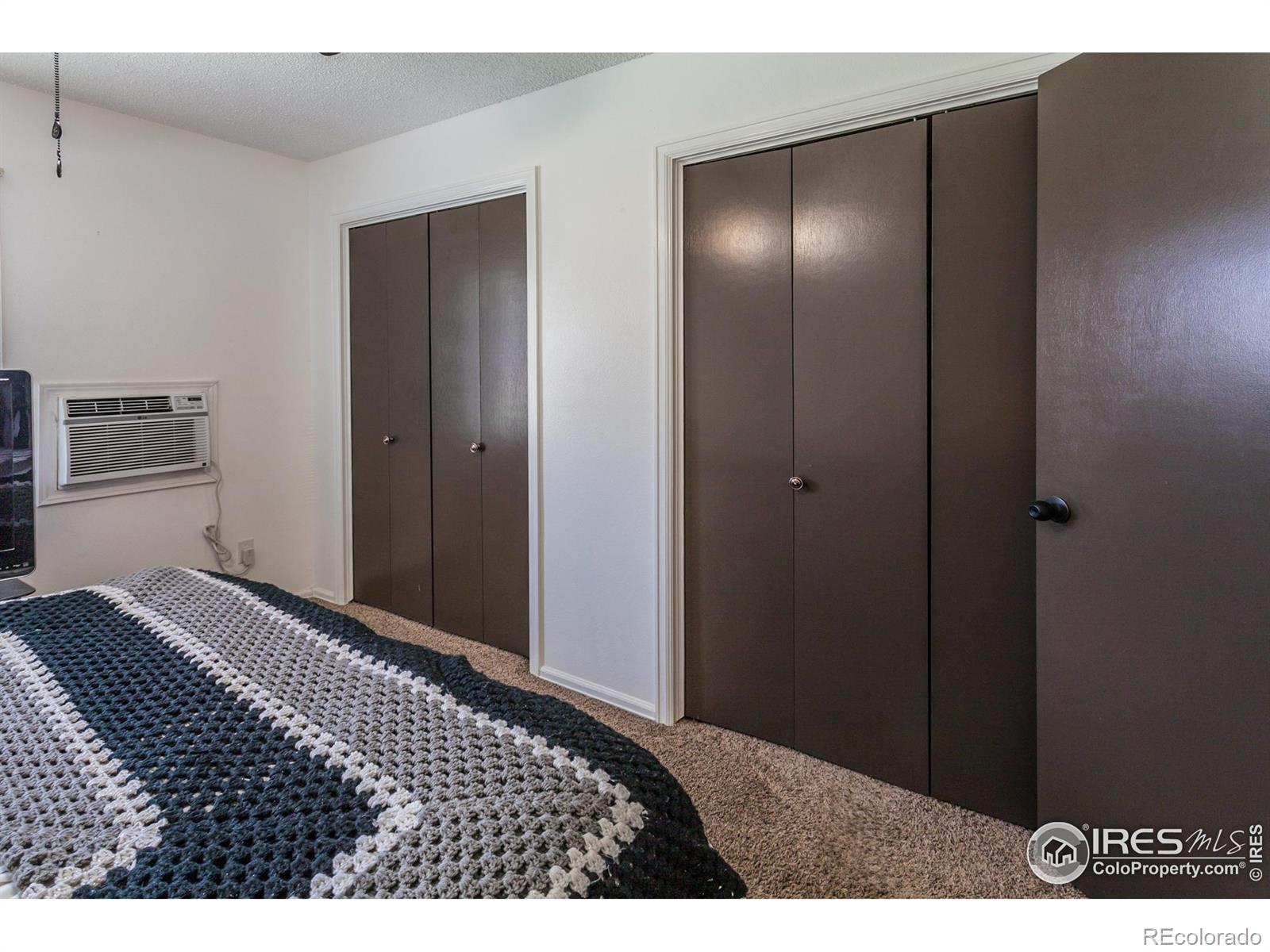 MLS Image #22 for 909  conifer court,windsor, Colorado
