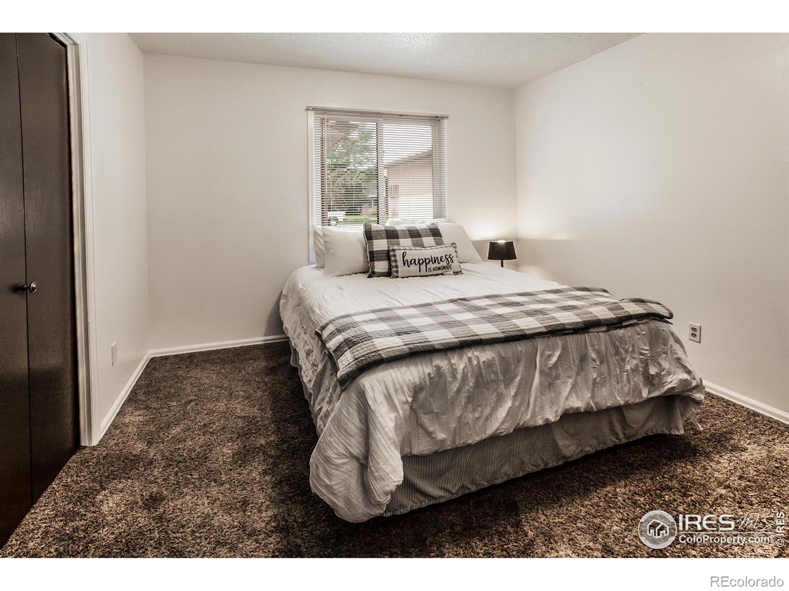MLS Image #25 for 909  conifer court,windsor, Colorado