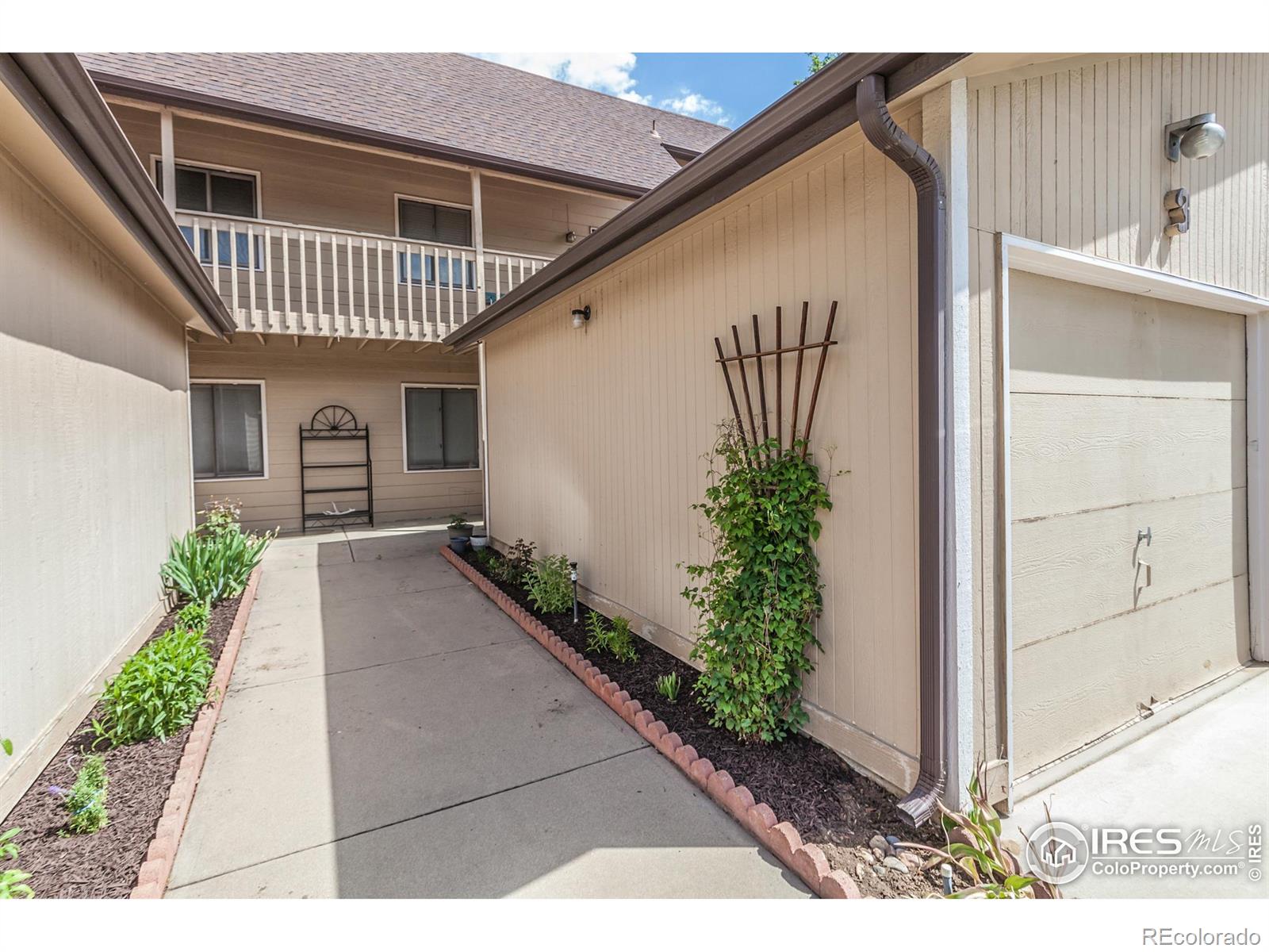 MLS Image #5 for 909  conifer court,windsor, Colorado