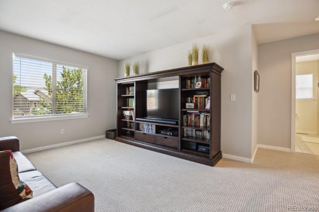 MLS Image #17 for 3102  fox sedge place,highlands ranch, Colorado