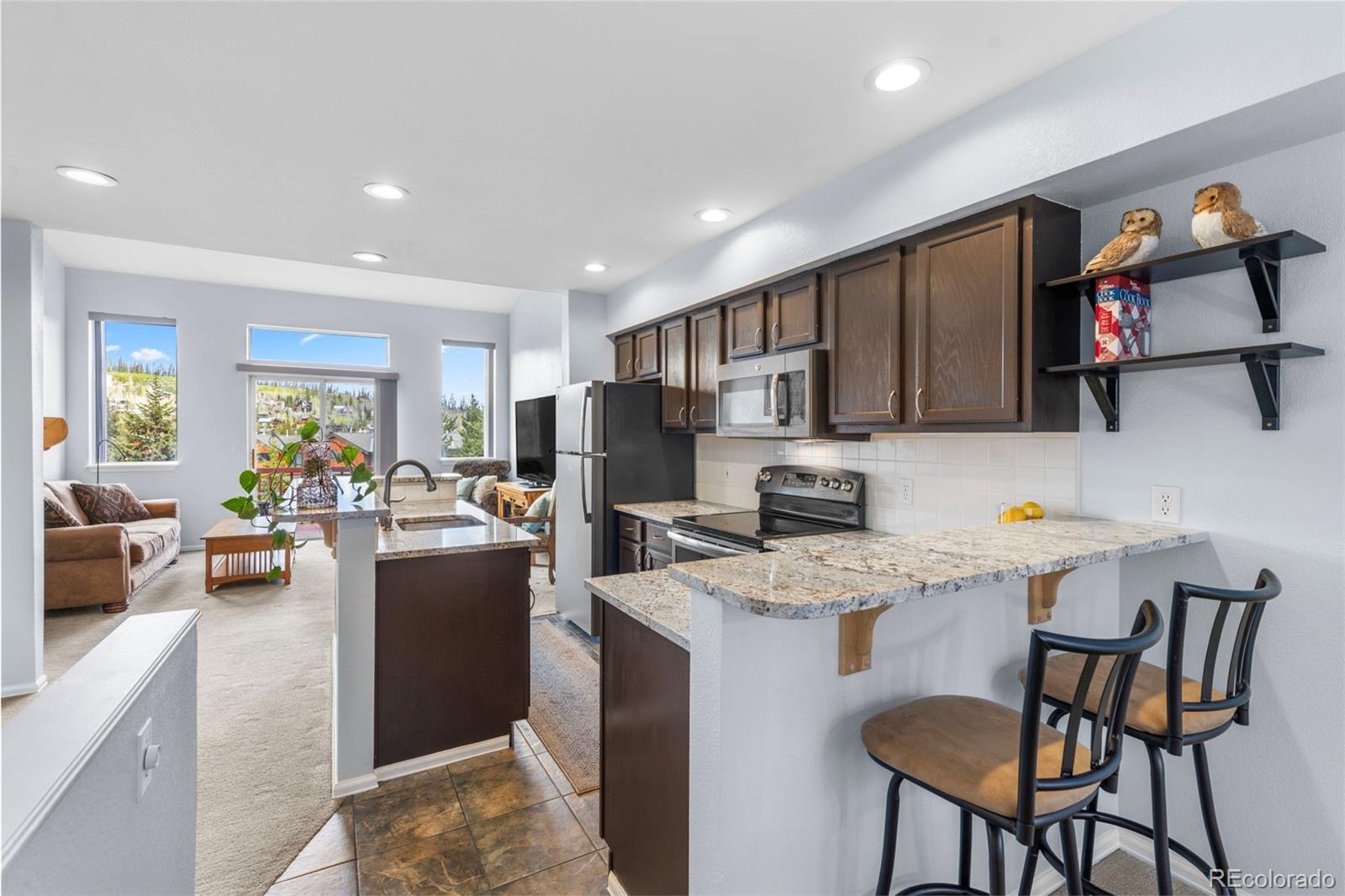 MLS Image #10 for 24  spyglass lane,silverthorne, Colorado