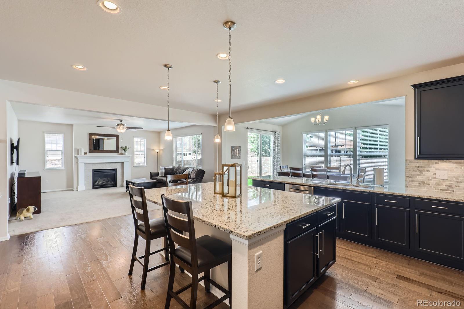 MLS Image #3 for 12578  hudson court,thornton, Colorado
