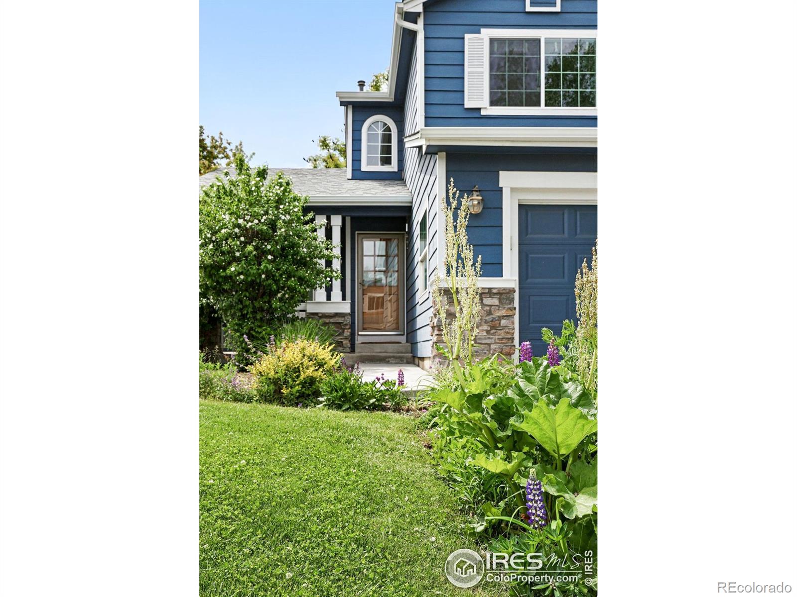 CMA Image for 823  Timothy Drive,Longmont, Colorado