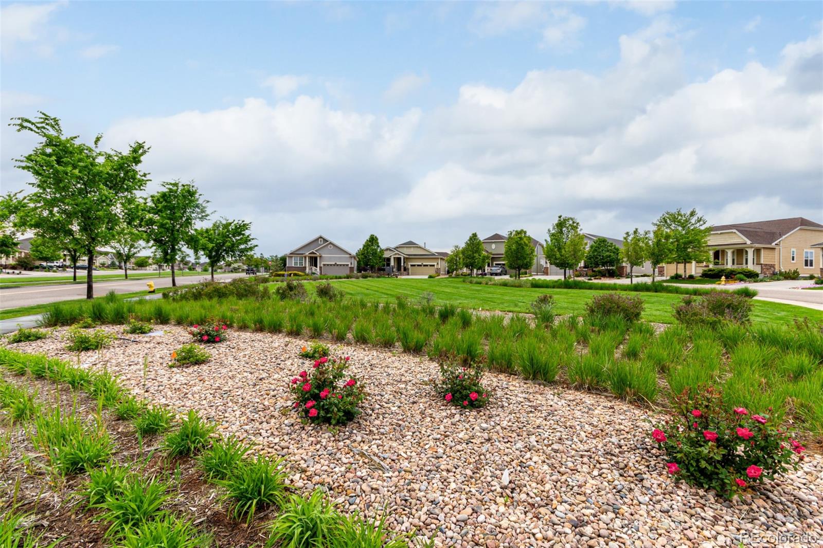 MLS Image #36 for 7991  heritage drive,thornton, Colorado