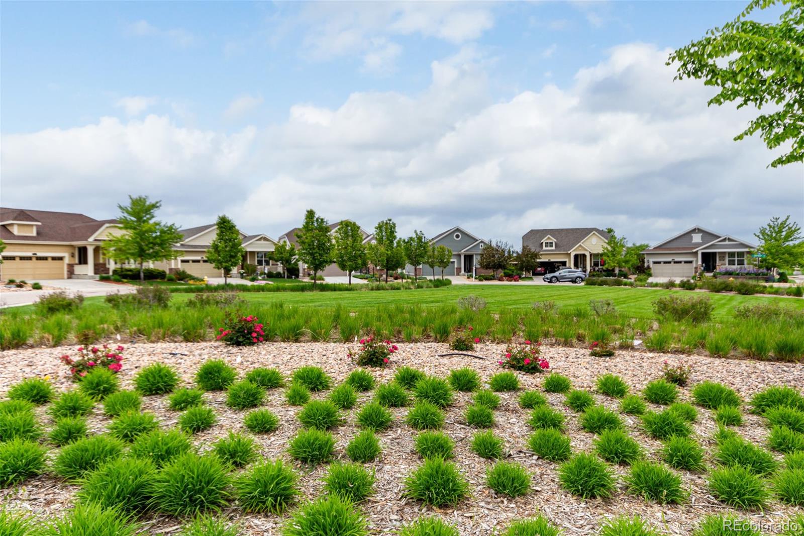 MLS Image #37 for 7991  heritage drive,thornton, Colorado